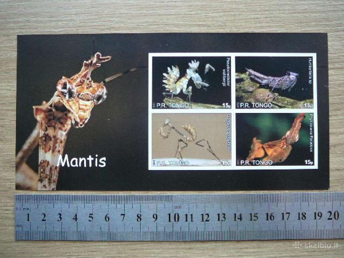 Vabzdziai Maldininkai Tonga 2010 svarus tn994