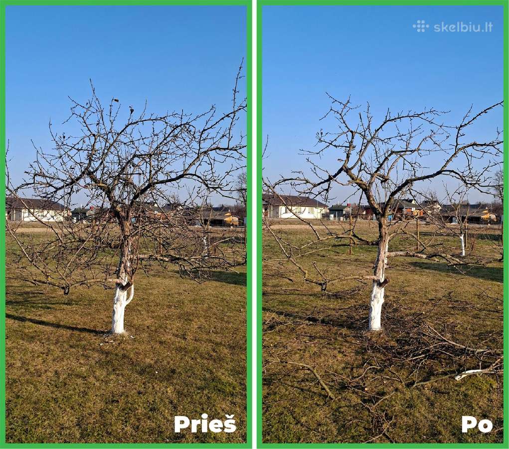 Gyvatvorių karpymas. Jonava, Kaunas, Ukmergė - nuotraukos Nr. 9