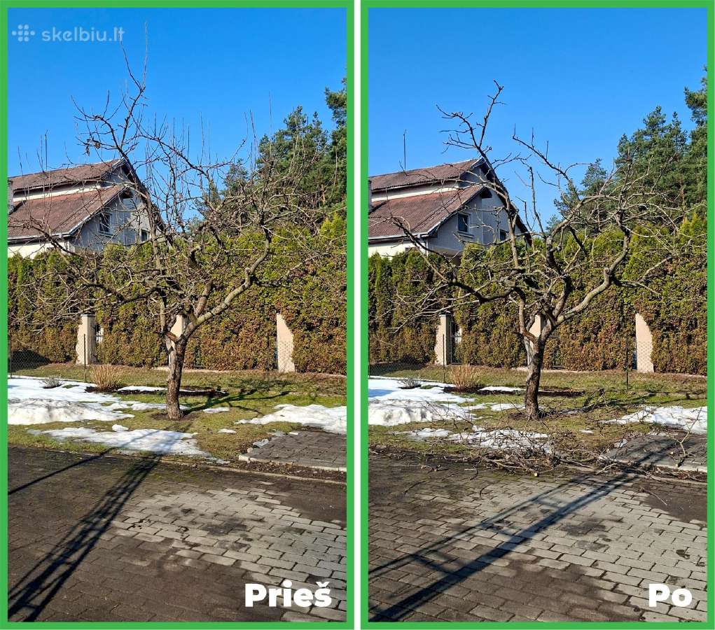 Gyvatvorių karpymas. Jonava, Kaunas, Ukmergė - nuotraukos Nr. 11