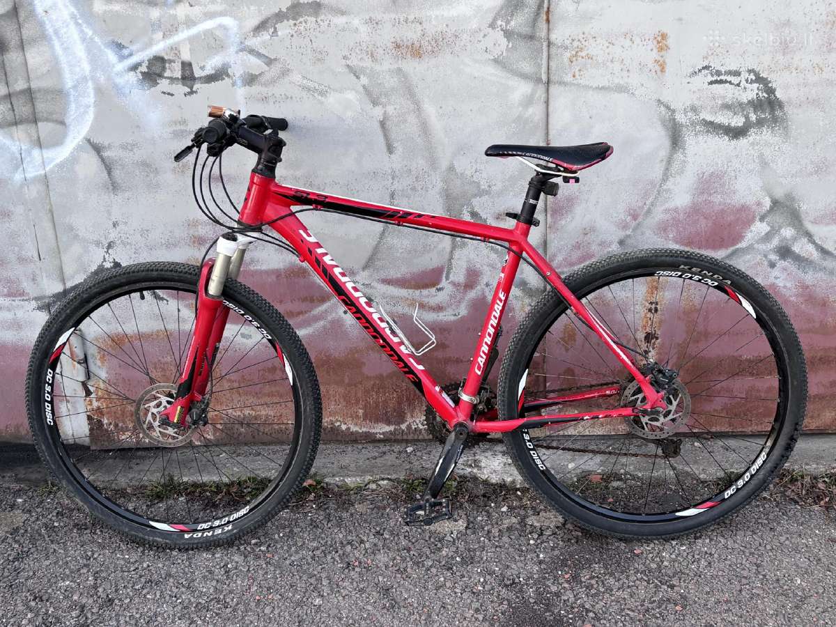 Kalnų dviratis XL