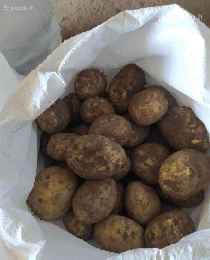 Įvairios bulvės