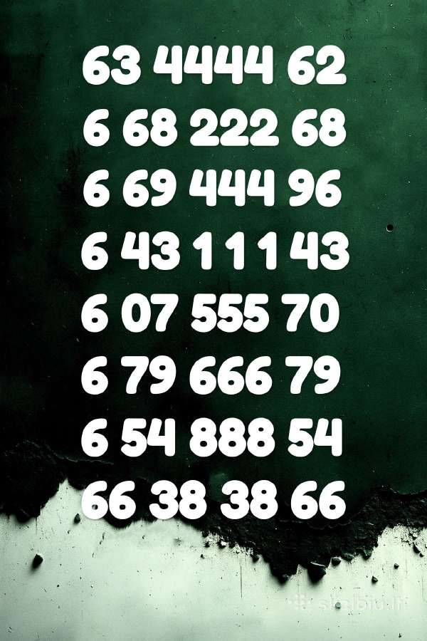 Lengvas VIP numeris 3333 111 888 už 35€