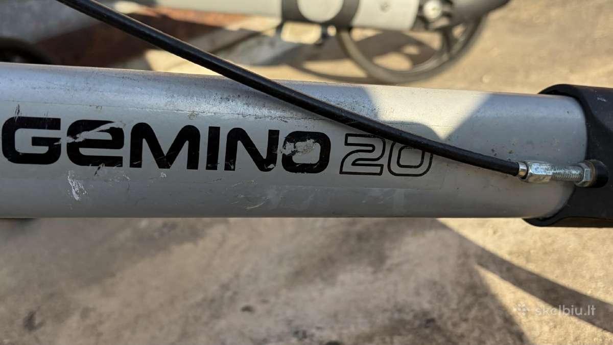 Gedimo 20 vaikštynė - nuotraukos Nr. 5