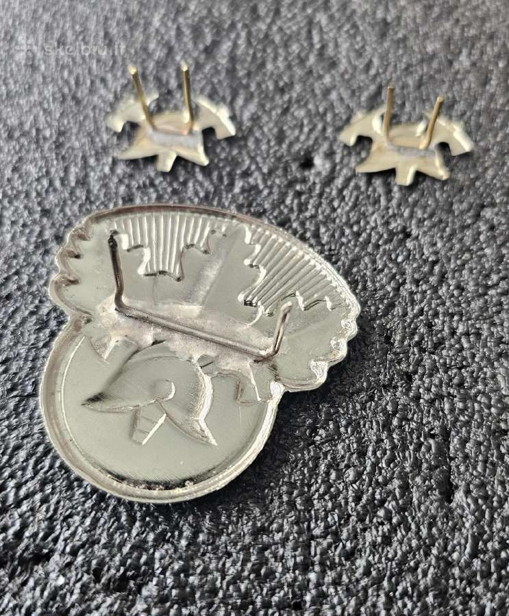 Pirmoji gaisrininkų kokarda ir petlicos. - nuotraukos Nr. 3