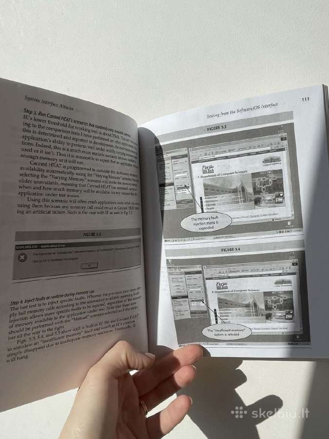 Knyga How to Break Software - nuotraukos Nr. 4