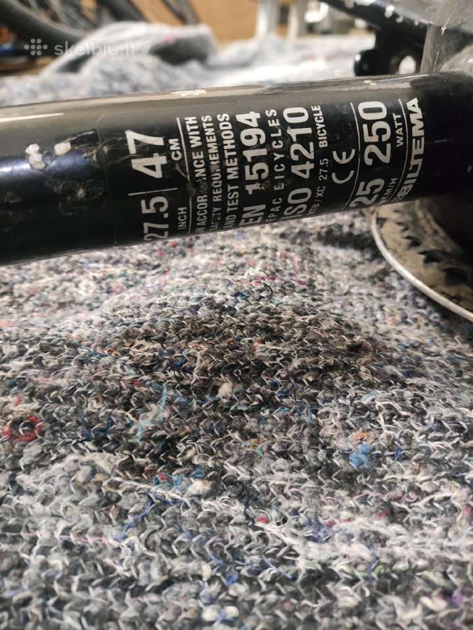 Elektrinio dviračio remas su varikliu - nuotraukos Nr. 2