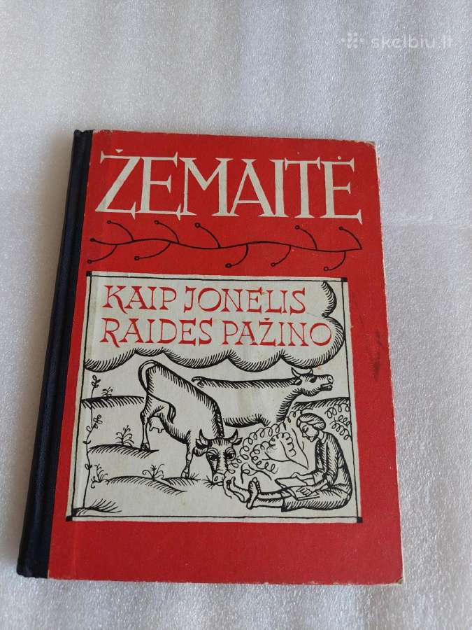 Kaip Jonelis raideles pažino
