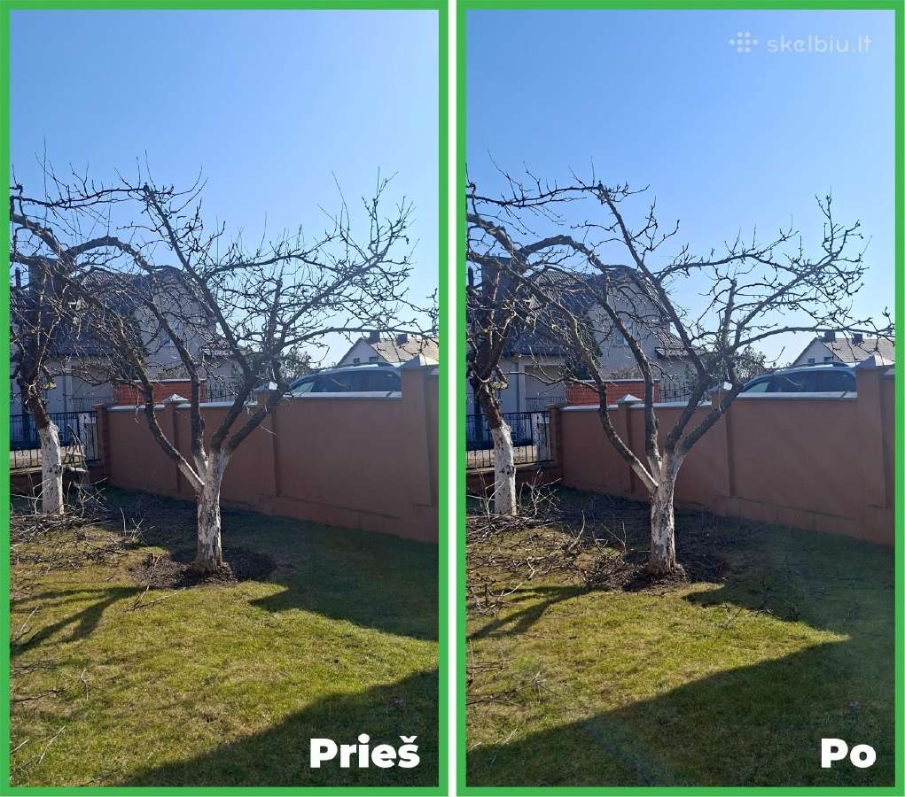Gyvatvorių karpymas. Jonava, Kaunas, Ukmergė - nuotraukos Nr. 15
