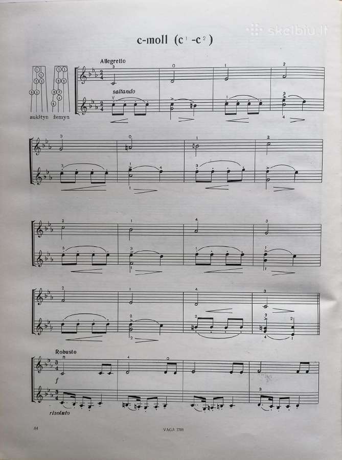 V. Paketūras "Gamos duetai" - nuotraukos Nr. 6