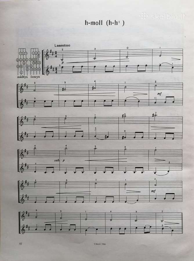 V. Paketūras "Gamos duetai" - nuotraukos Nr. 7