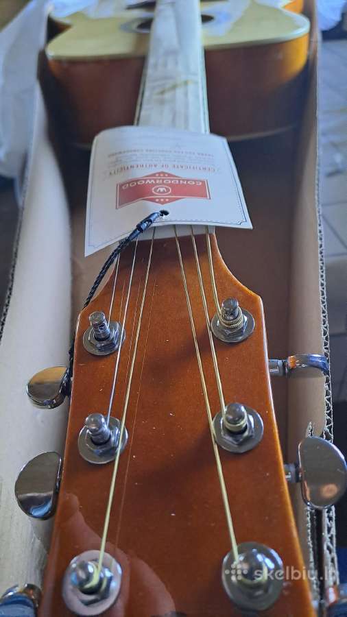 Elektro akustinė gitara