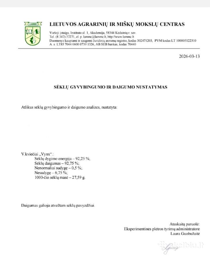 Parduodu vasarinius kviečius Winx C2 - nuotraukos Nr. 7