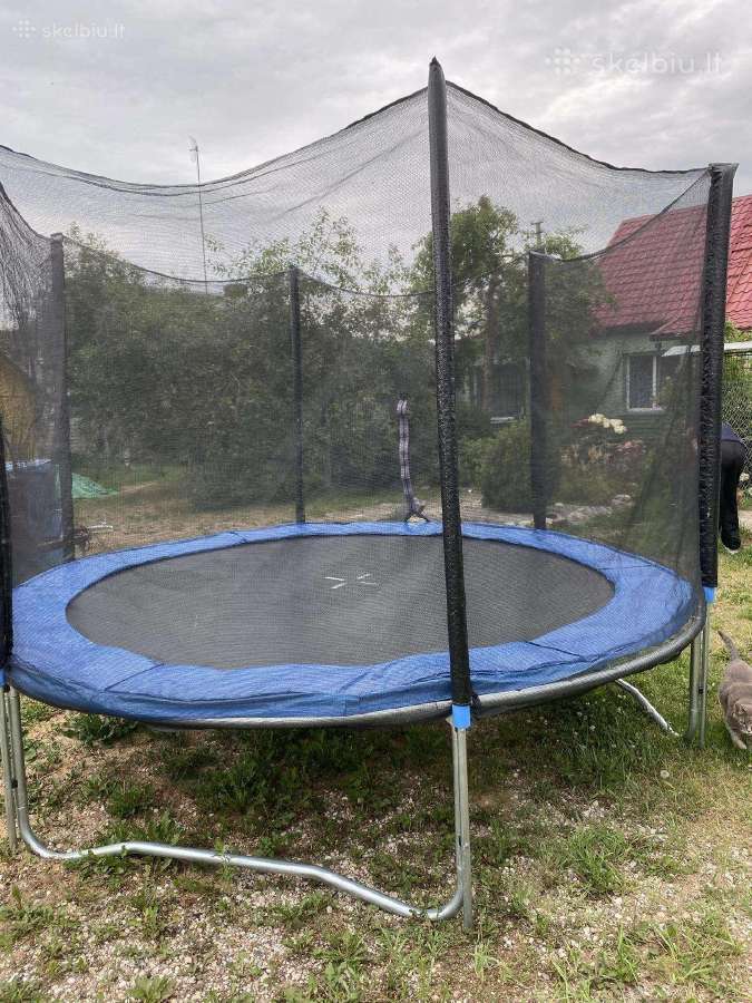 Batutas 305