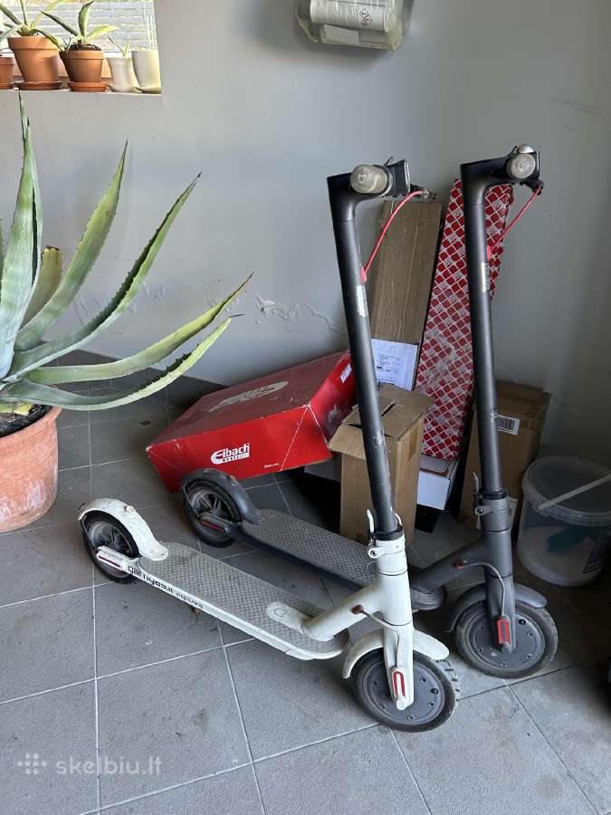 Xiaomi paspirtukai
