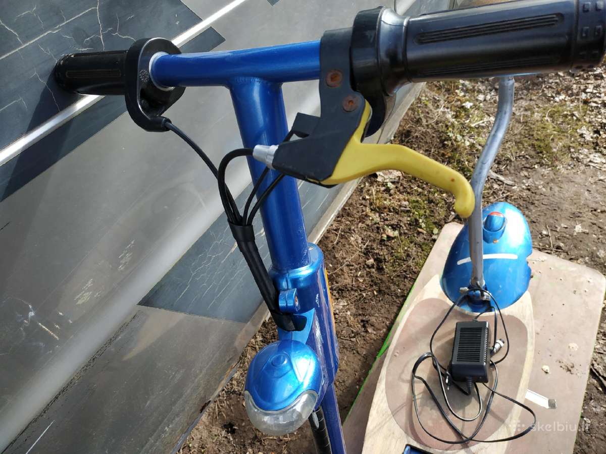 Elektrinis paspirtukas