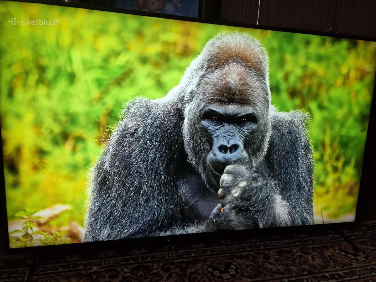 Panasonic Smart TV - nuotraukos Nr. 5