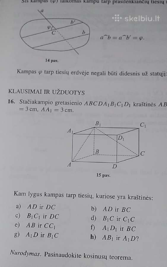 Geometrija 10 - nuotraukos Nr. 7