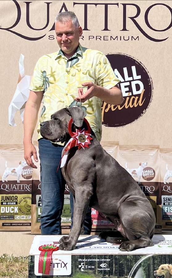 Cane Corso šuniukai su kilmės dokumentais - nuotraukos Nr. 7
