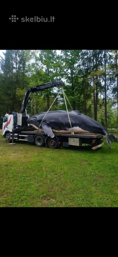Krovinių pervežimas. Fiskaras