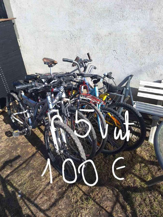 Kalnų dviratis