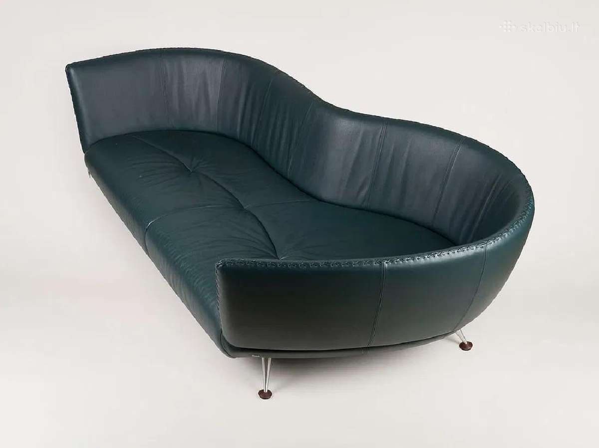 Prabangi dizainerio sofa de Sede DS-102