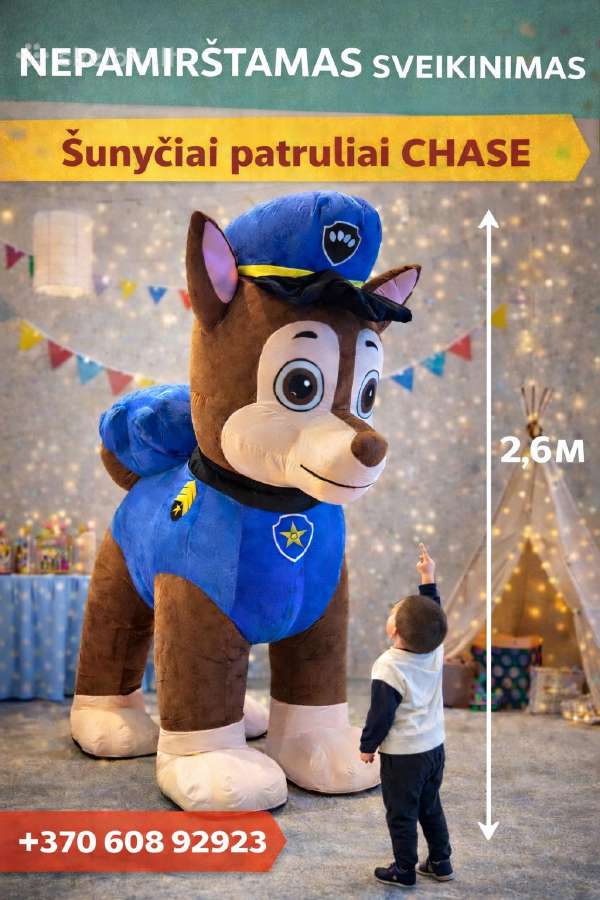 Šunyčiai patruliai personažai vaikų gimtadieniui - nuotraukos Nr. 7