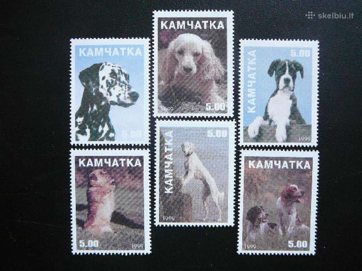Sunys Kamciatka (R) 1999 svarus kc562