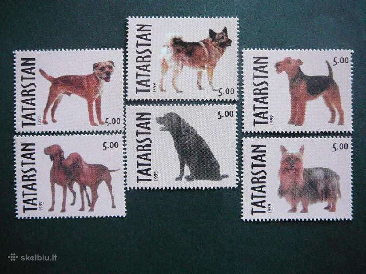 Sunys Tatarstanas (R) 1999 svarus ttr861