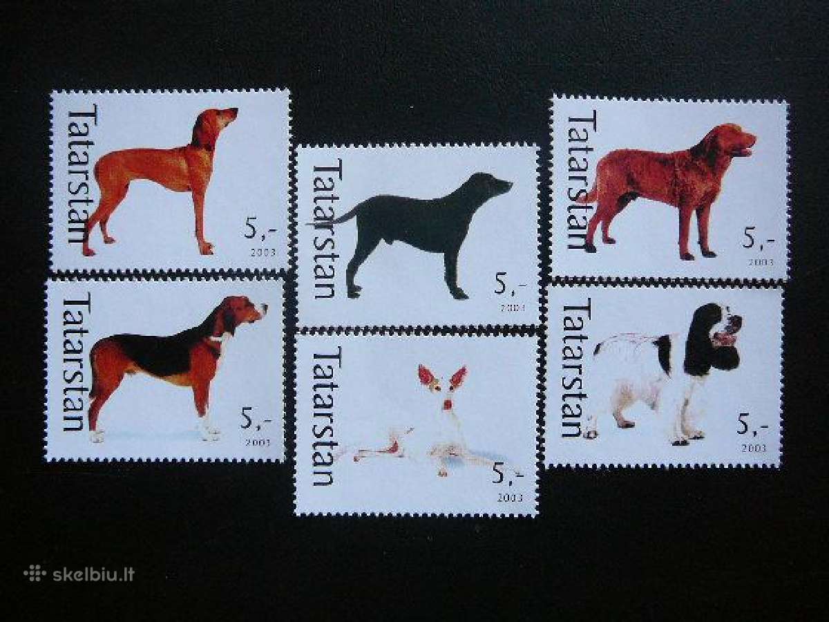 Sunys Tatarstanas (R) 2003 svarus ttr862