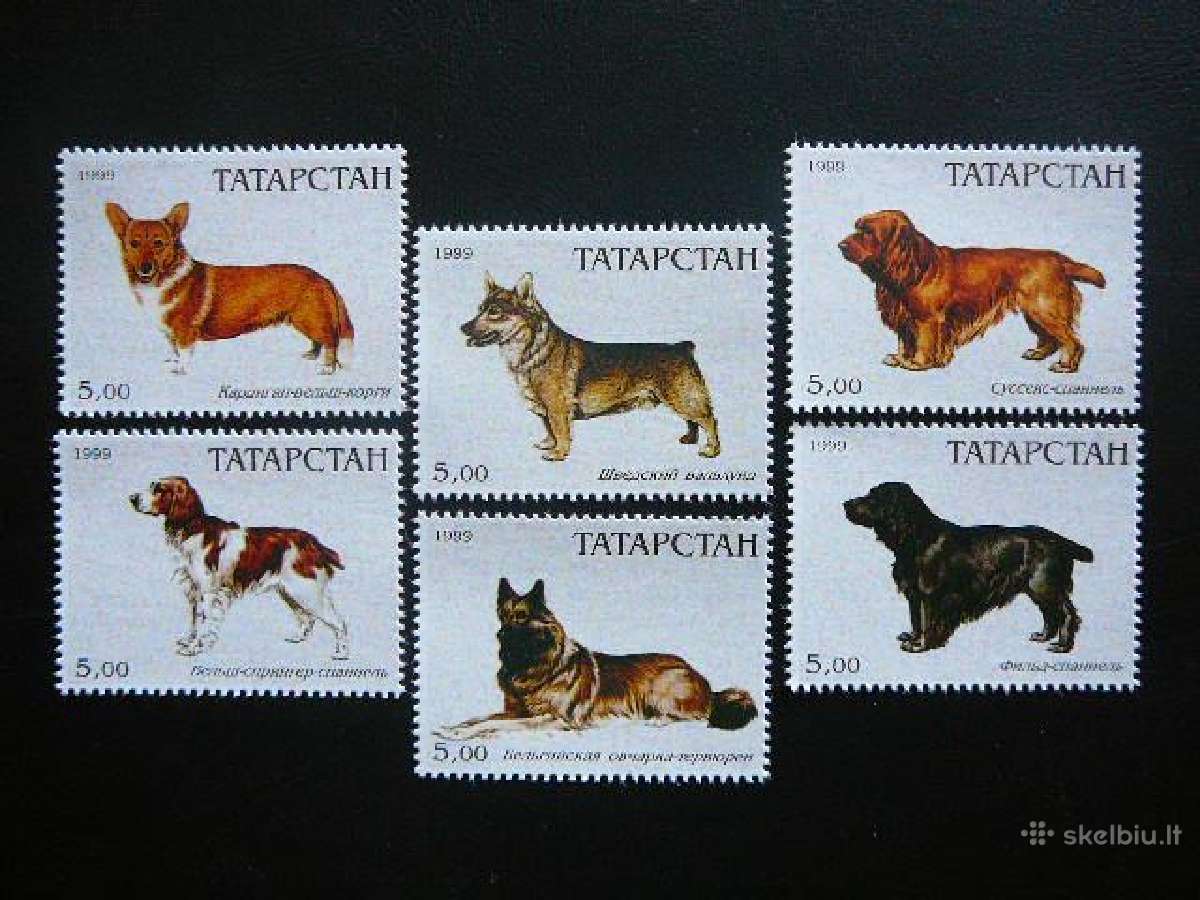 Sunys Tatarstanas (R) 1999 svarus ttr863
