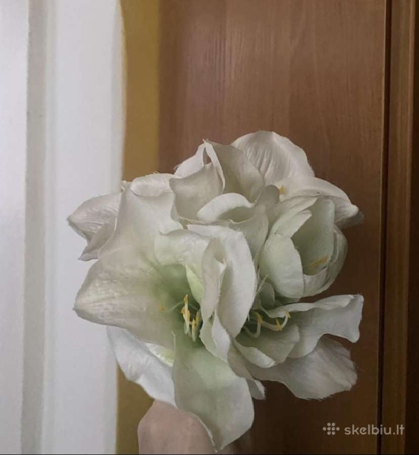 Dirbtina gele Amarilis