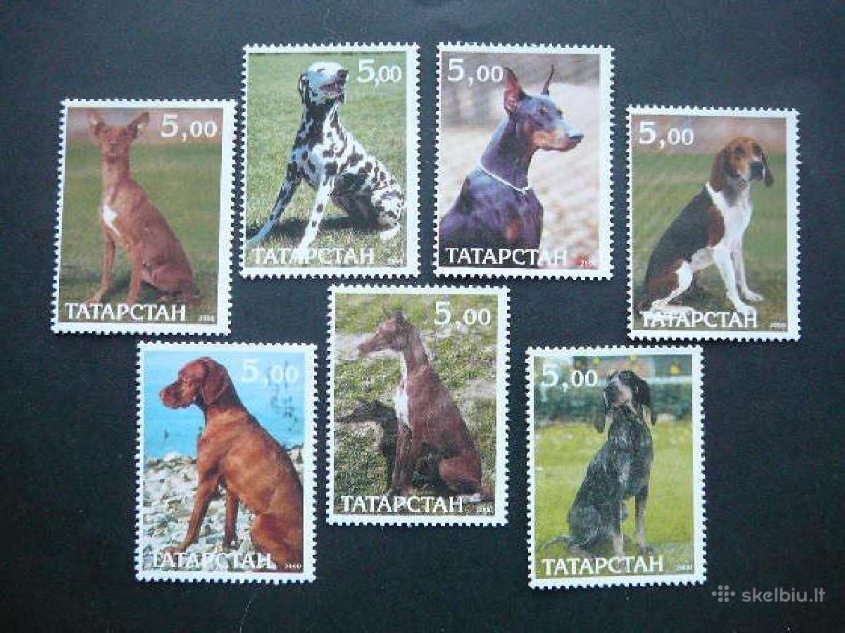 Sunys Tatarstanas (R) 2000 svarus ttr864