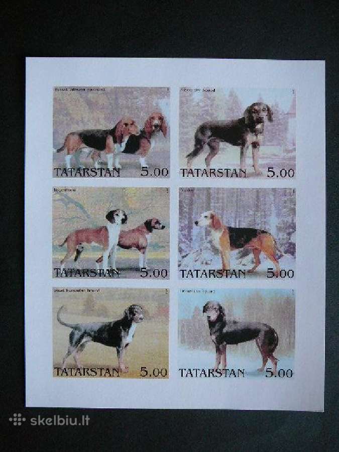 Sunys Tatarstanas (R) 2001 svarus ttr865
