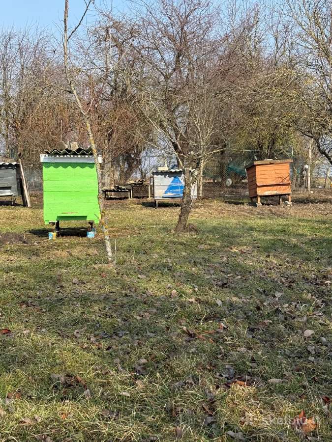 Parduodu bites ir avilius - nuotraukos Nr. 3