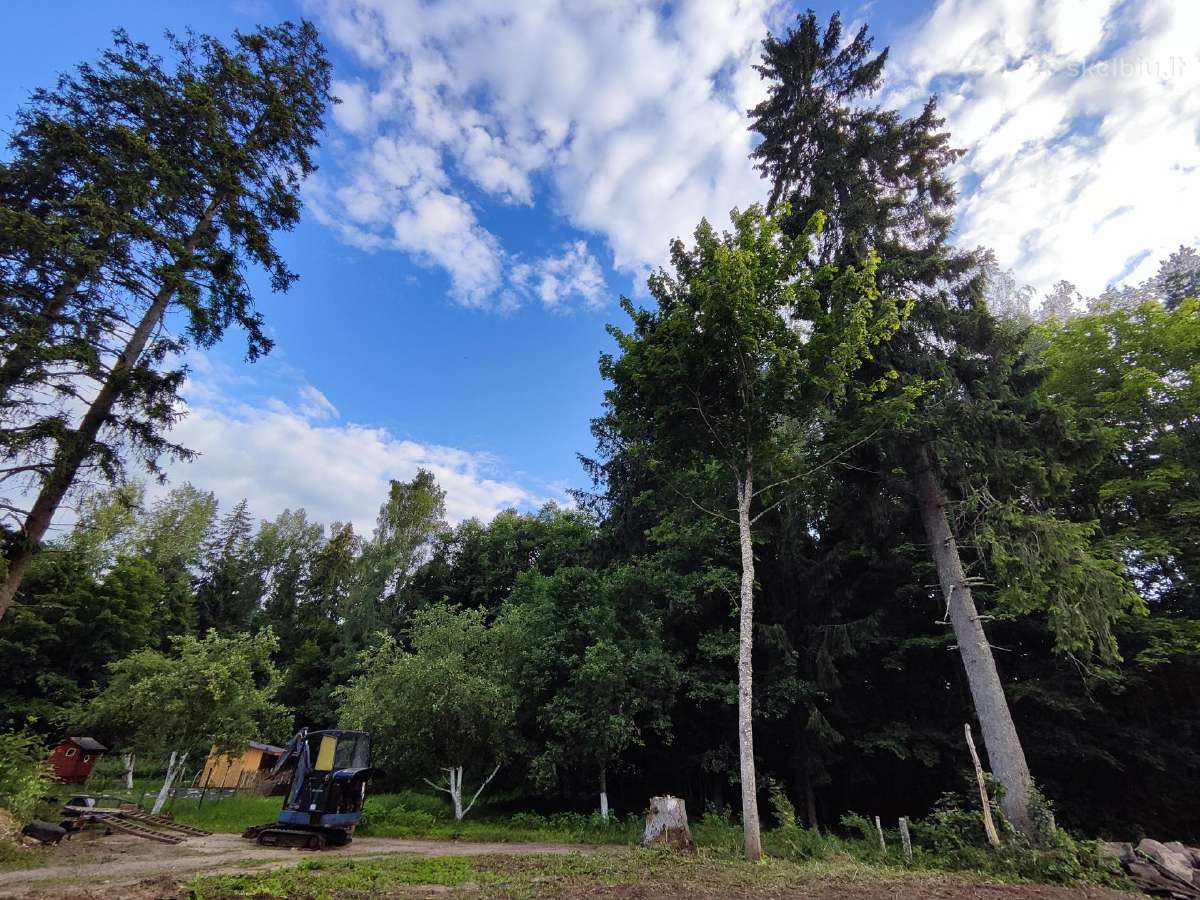 Vyšnia 10a sodo sklypas - nuotraukos Nr. 3