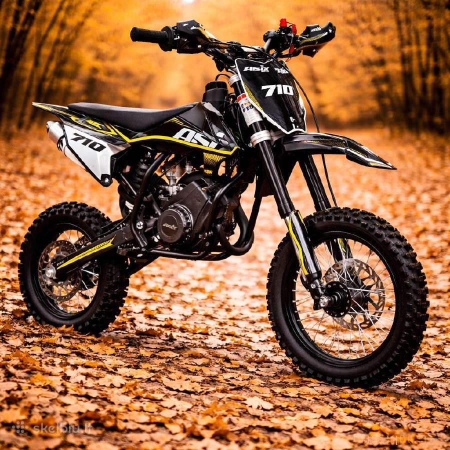 Krosinis motociklas Asix-710 60cc