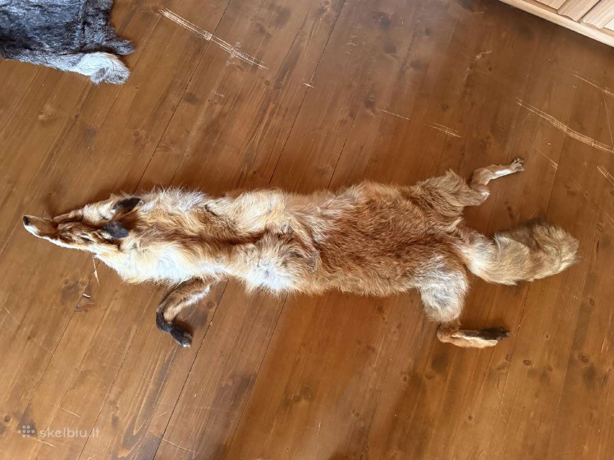 Ragai ir gyvunu kailiai, bej genio iskamsa - nuotraukos Nr. 5