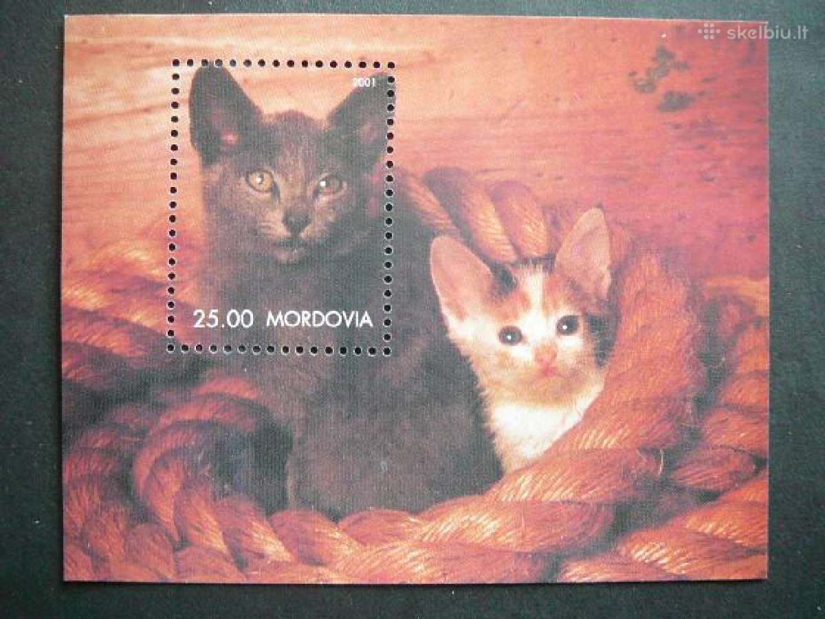 Kates Mordovija (R) 2001 svarus mrd649