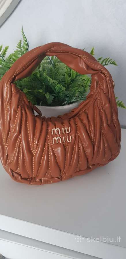 Miu miu rankine