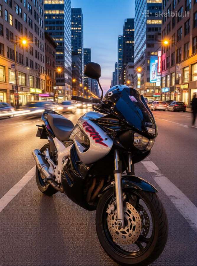 Yamaha Tdm850 - nuotraukos Nr. 4