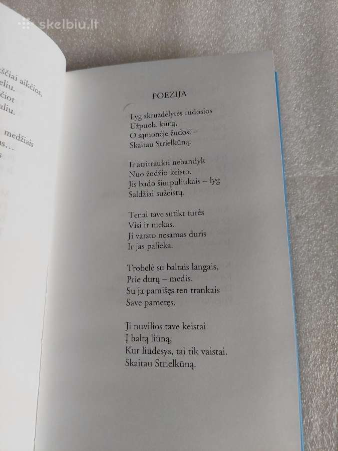 Žiemos langai - nuotraukos Nr. 3