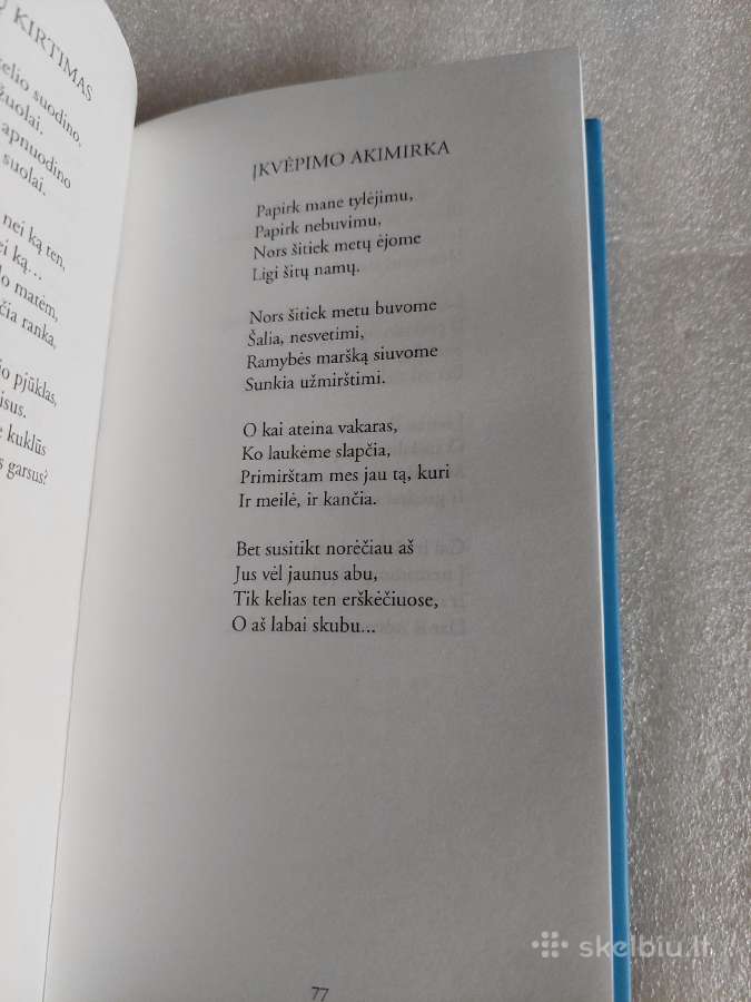 Žiemos langai - nuotraukos Nr. 4