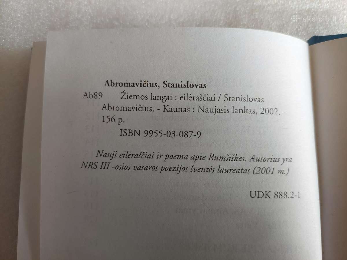 Žiemos langai - nuotraukos Nr. 5
