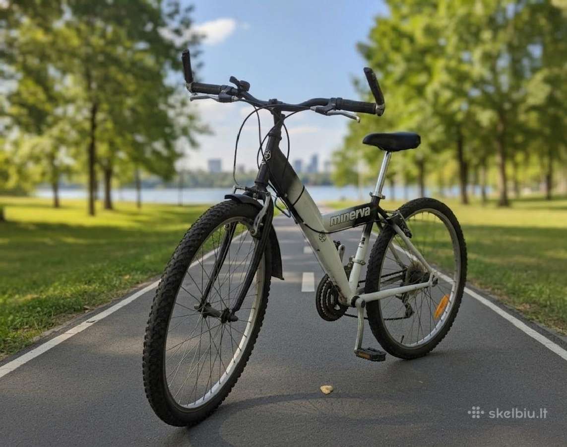 Dviratis vaikui ar mažesniam paaugliui - nuotraukos Nr. 2