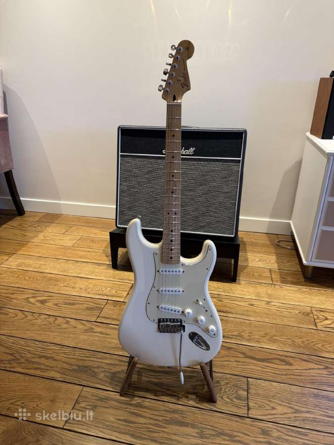 Fender stratocaster standard