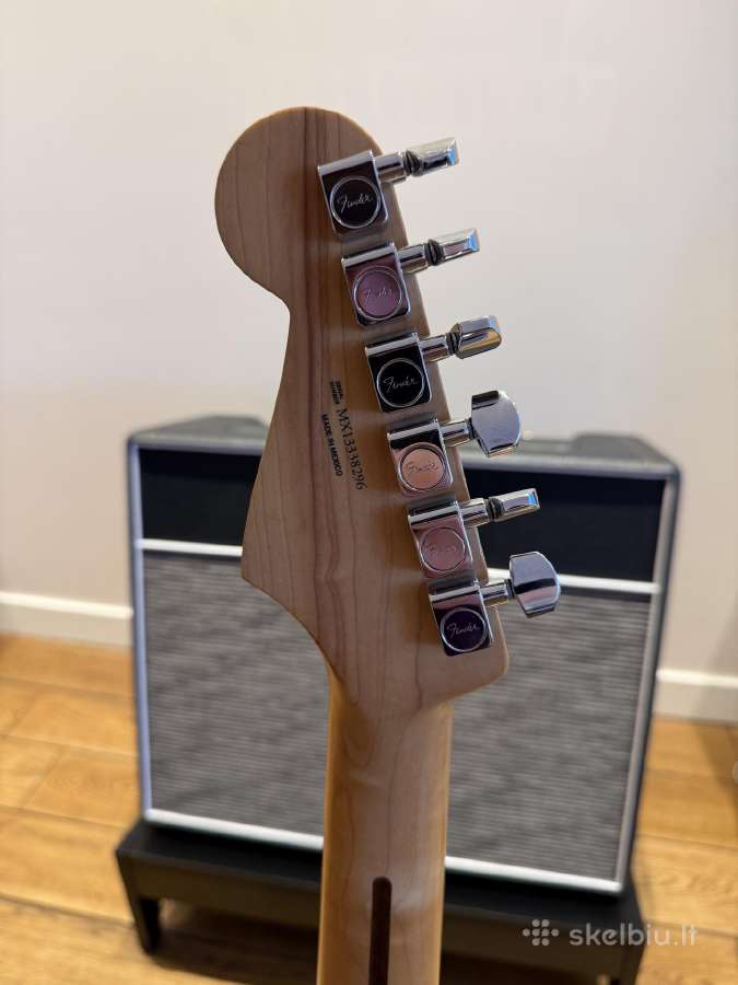 Fender stratocaster standard - nuotraukos Nr. 4