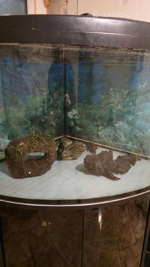 Parduodu akvariuma - nuotraukos Nr. 2
