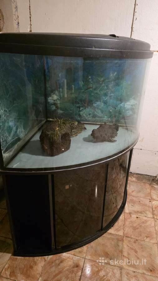 Parduodu akvariuma - nuotraukos Nr. 3