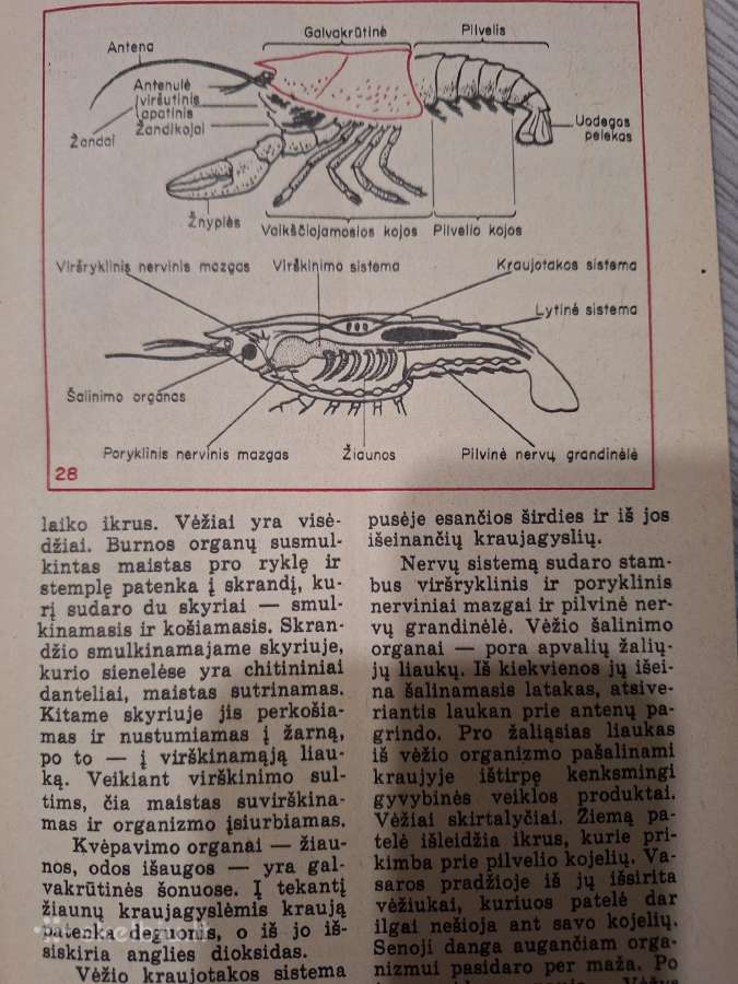 Biologija - nuotraukos Nr. 3