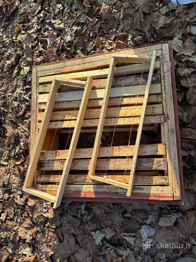 Korpusinis bičių avilys su šeima - nuotraukos Nr. 4